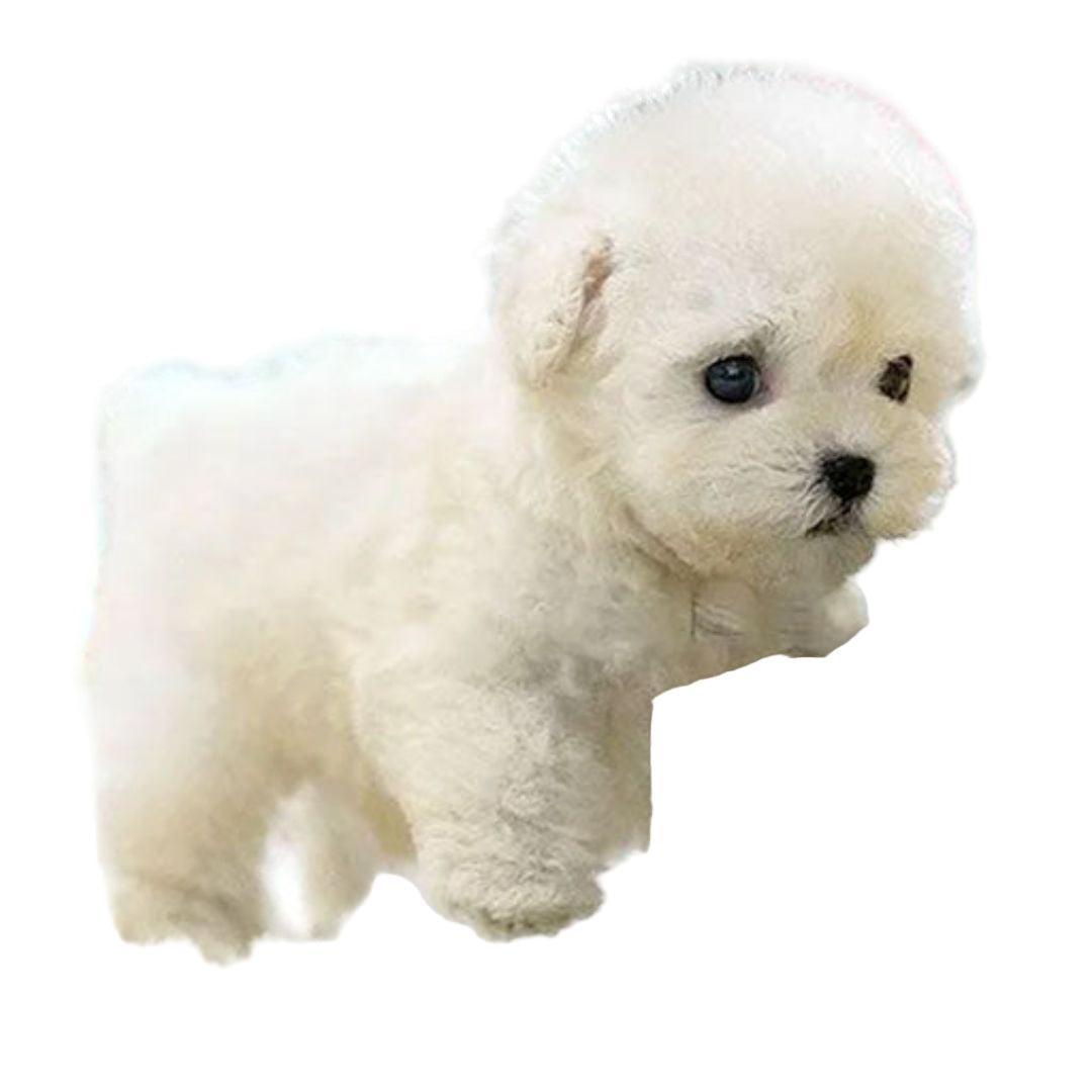 Interactive Plush Puppy – Realistic Design with Movement Features – Perfect for Teaching Care to Children