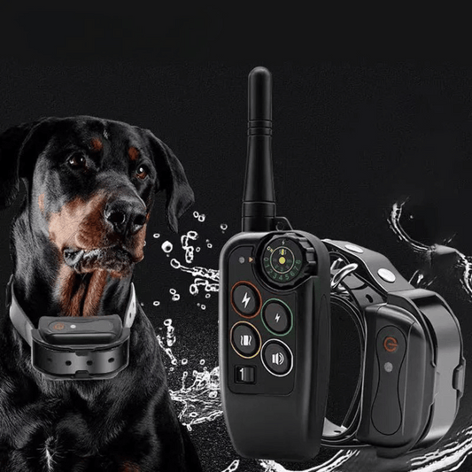 Long Range 1000m Waterproof Dog Training E-Collar & Remote