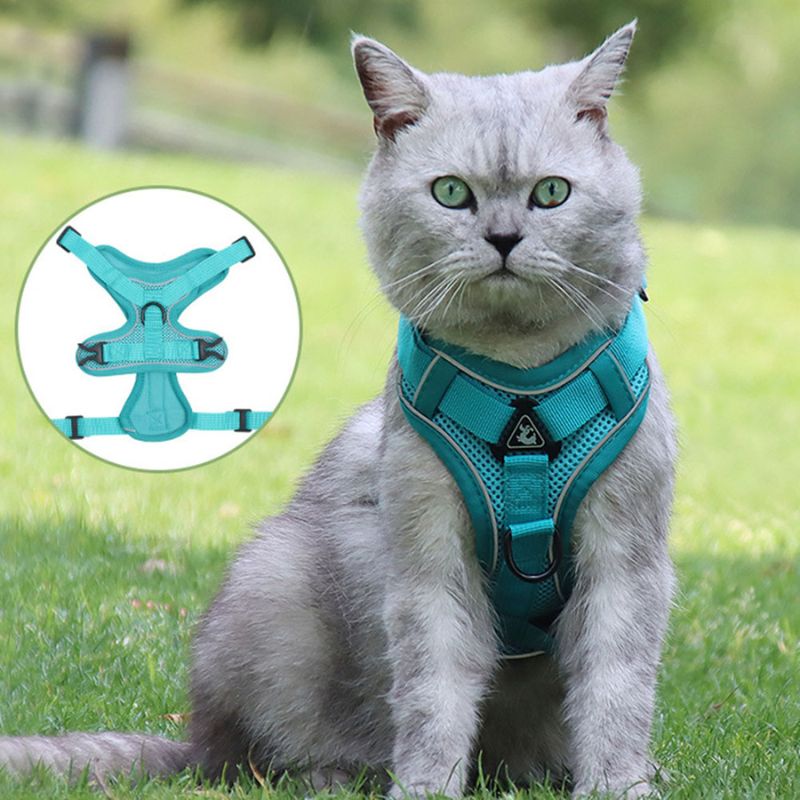 Anti-Escape Cat Harness - Safety & Freedom for Your Feline