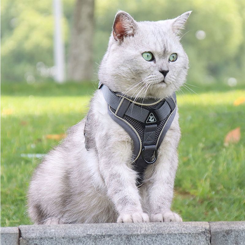 Anti-Escape Cat Harness - Safety & Freedom for Your Feline