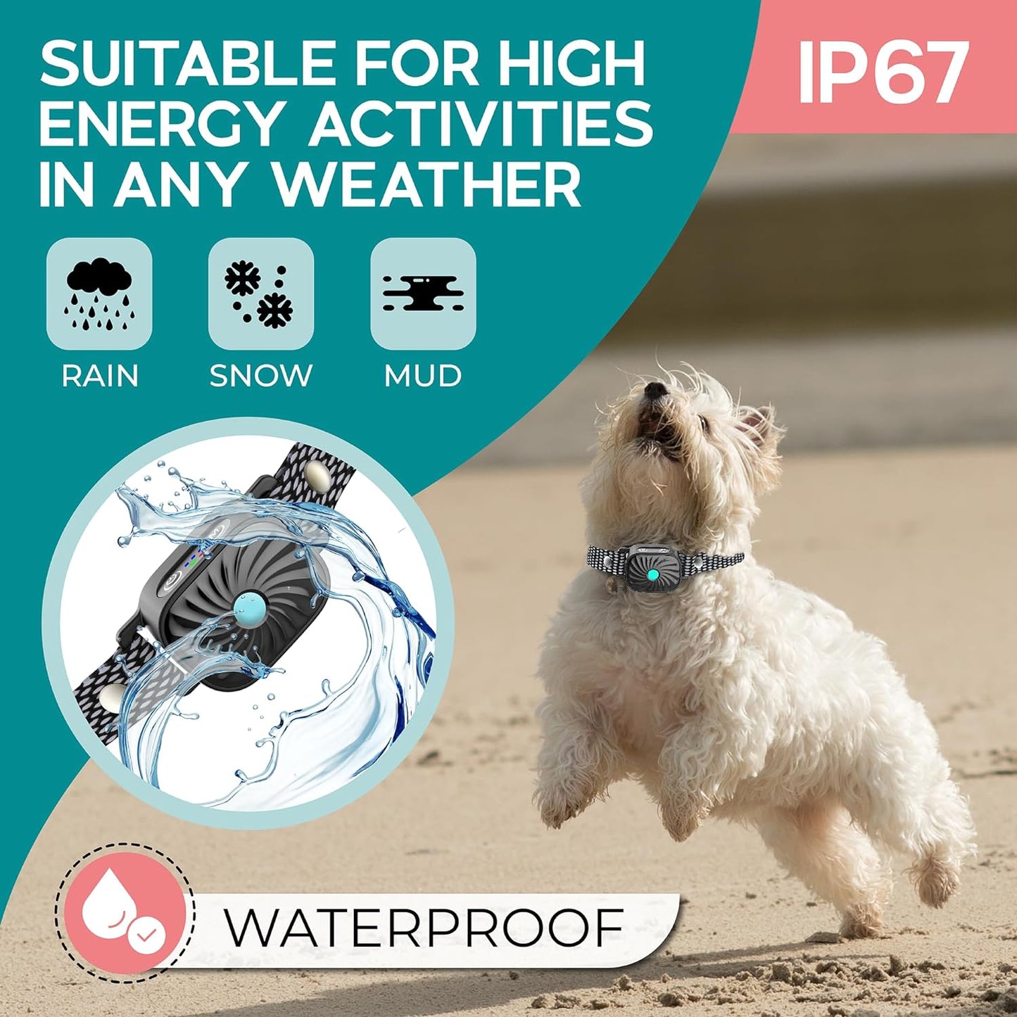 BarkEase | Gentle Training Collar for Small Dogs