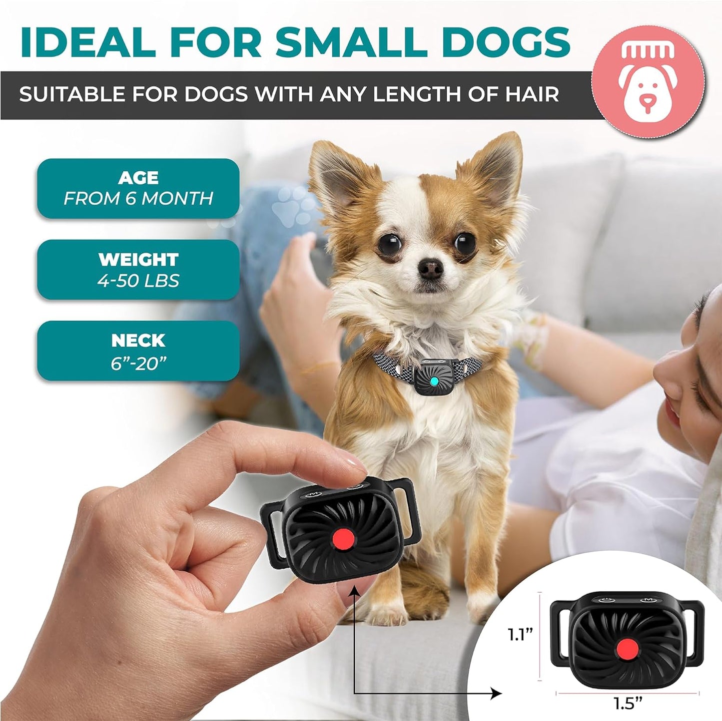 BarkEase | Gentle Training Collar for Small Dogs