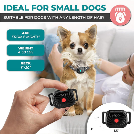 BarkEase | Gentle Training Collar for Small Dogs