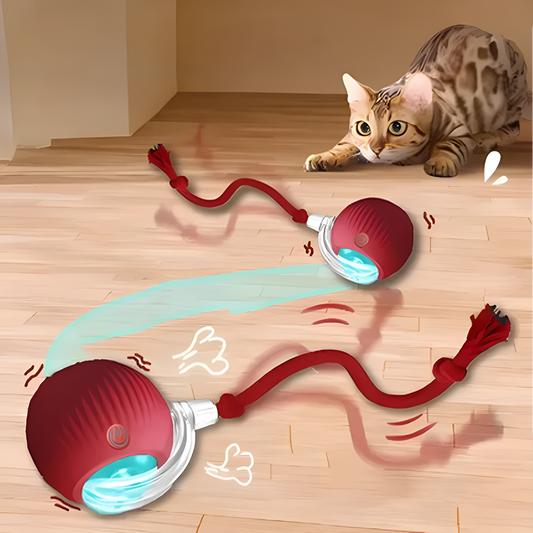 Catfri® CatBall: Automatic Interactive Fun for Cats to Chase