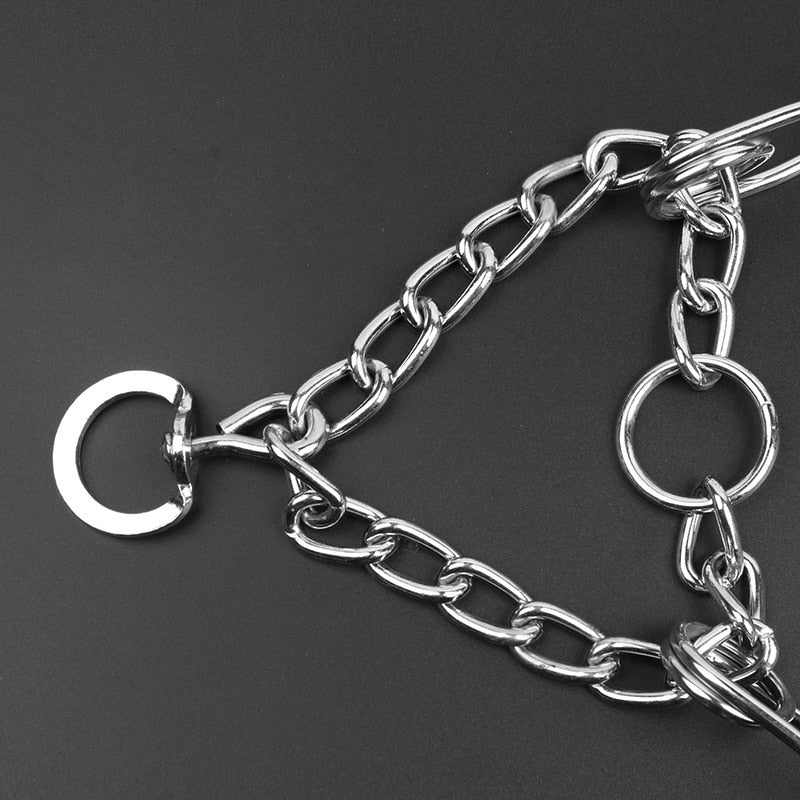 Closora | Dog Pincher Collar - Stylish B