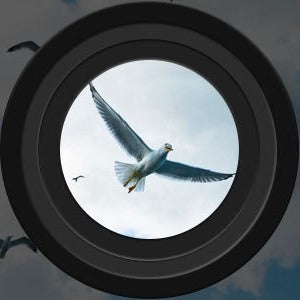 Closora | Long Range Night Vision Binoculars