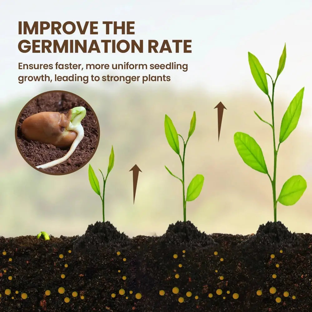 Closora | Organic Soil Activator for Robust Plant Growth