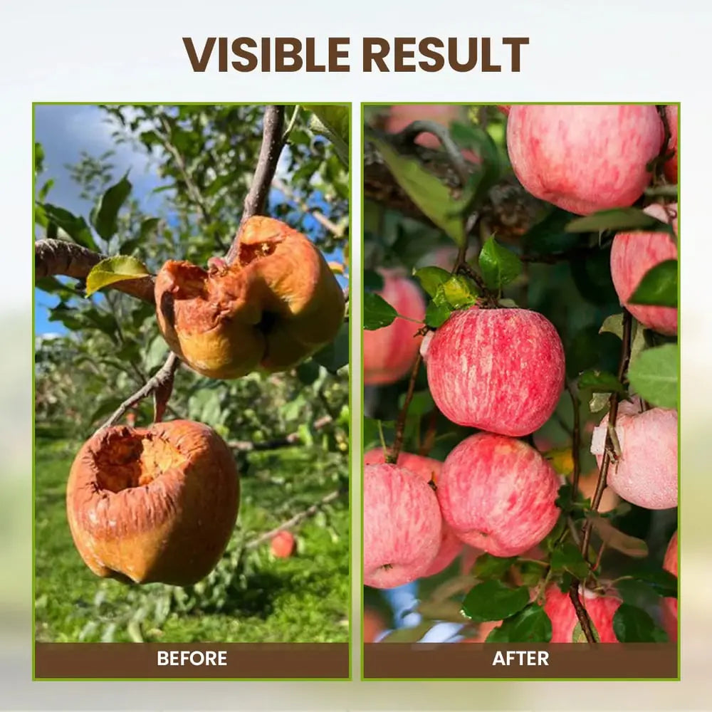 Closora | Organic Soil Activator for Robust Plant Growth