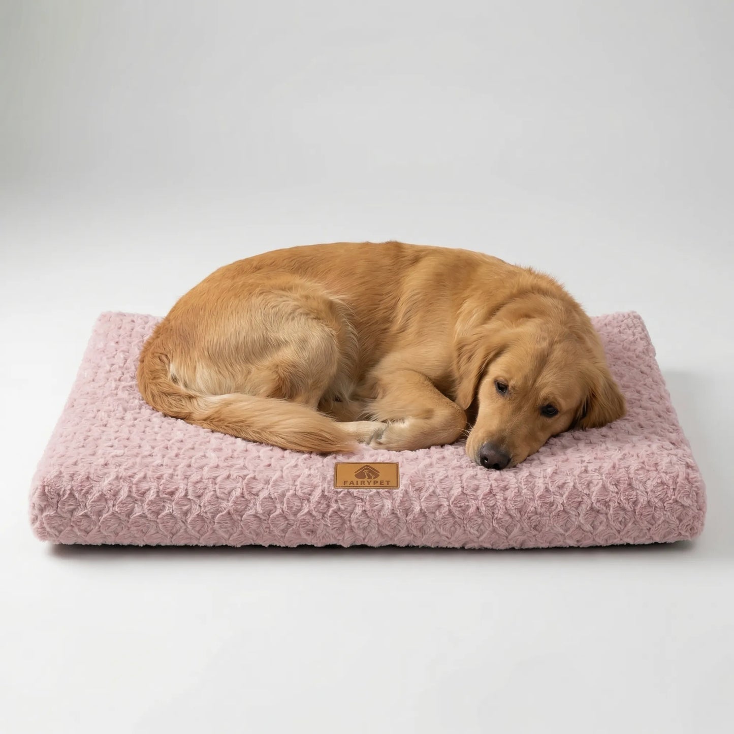 Closora | Pawventure Flat Orthopedic Foam Dog Mat