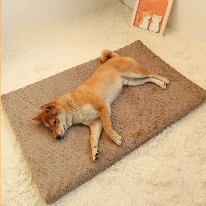 Closora | Pawventure Flat Orthopedic Foam Dog Mat