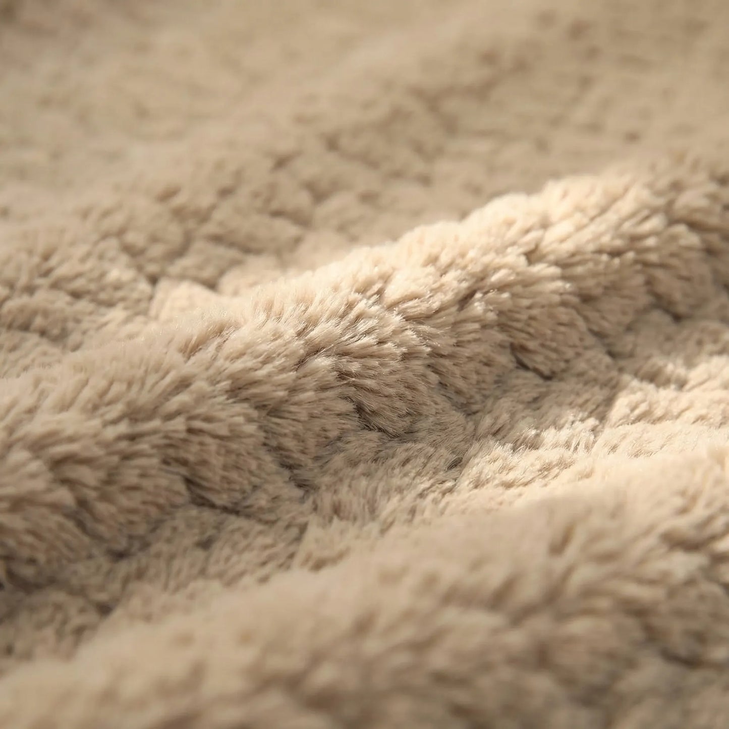 Closora | Pawventure Flat Orthopedic Foam Dog Mat