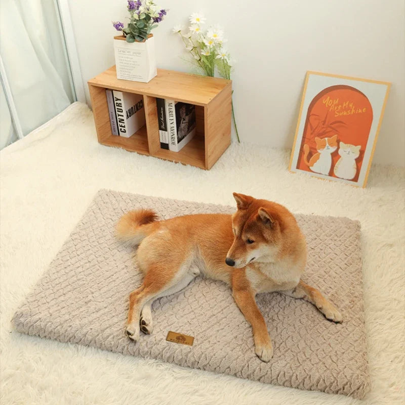 Closora | Pawventure Flat Orthopedic Foam Dog Mat