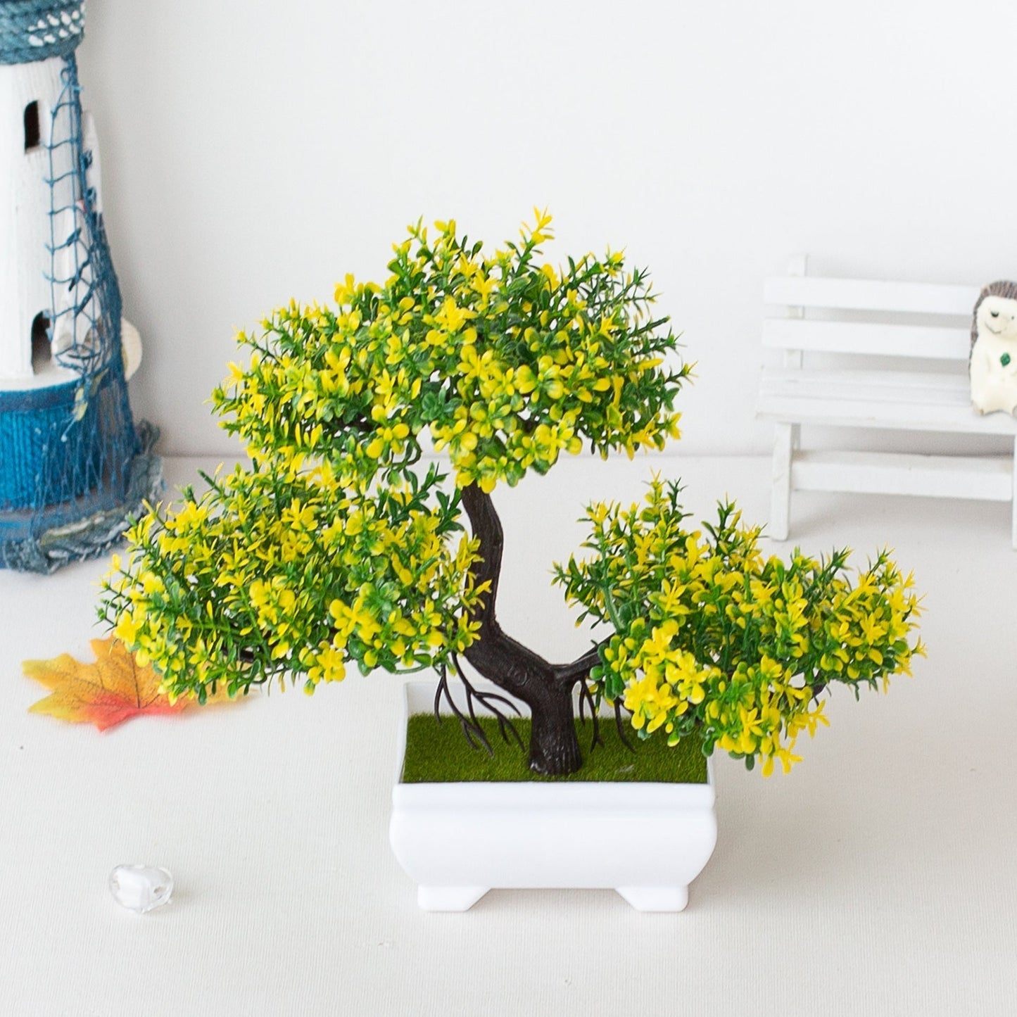 Closora | Plant Bonsai