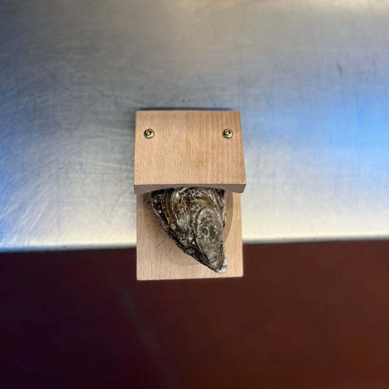 Closora | Premium Wood Handle Oyster Shell Opener Clamp