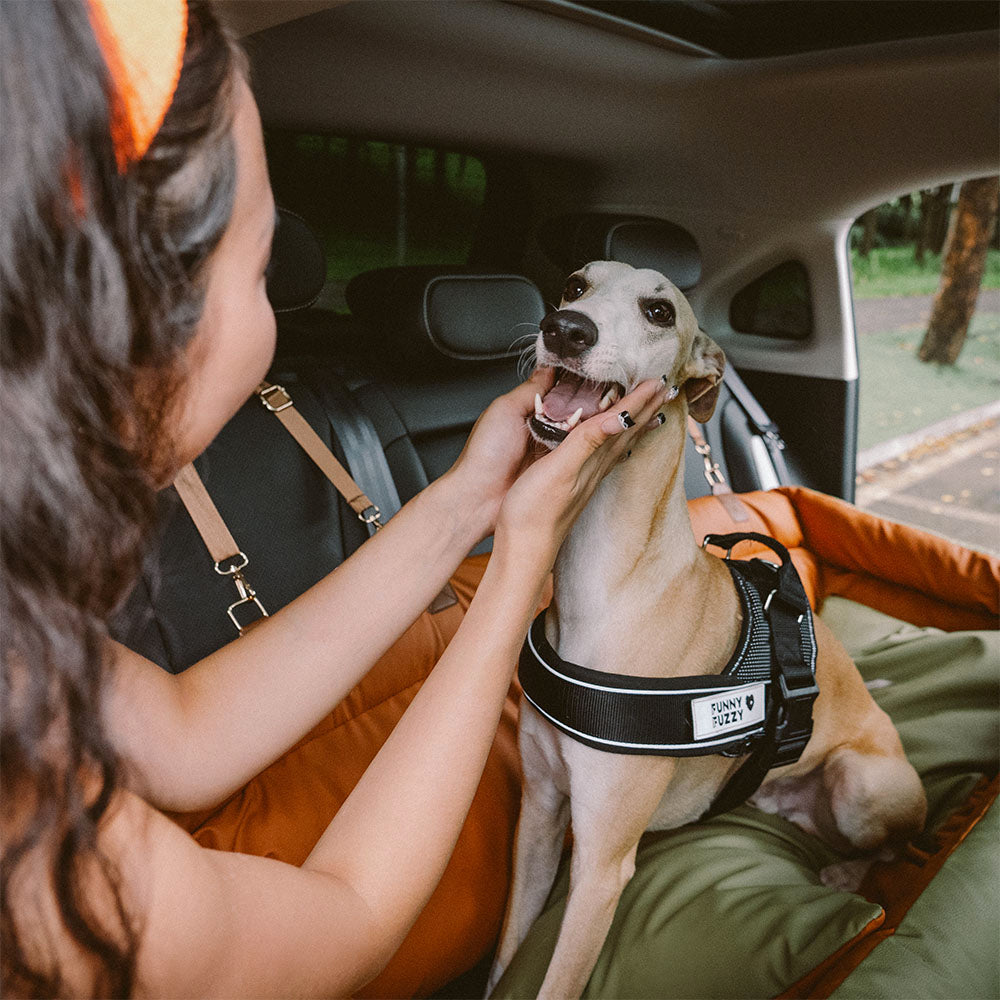 Deluxe Dog Seat for Car - Faux Leather Comfort | Urban Voyager