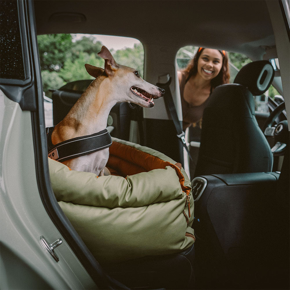 Deluxe Dog Seat for Car - Faux Leather Comfort | Urban Voyager