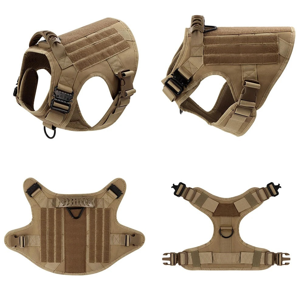 Dog Leash – Comfort and Safety for Training