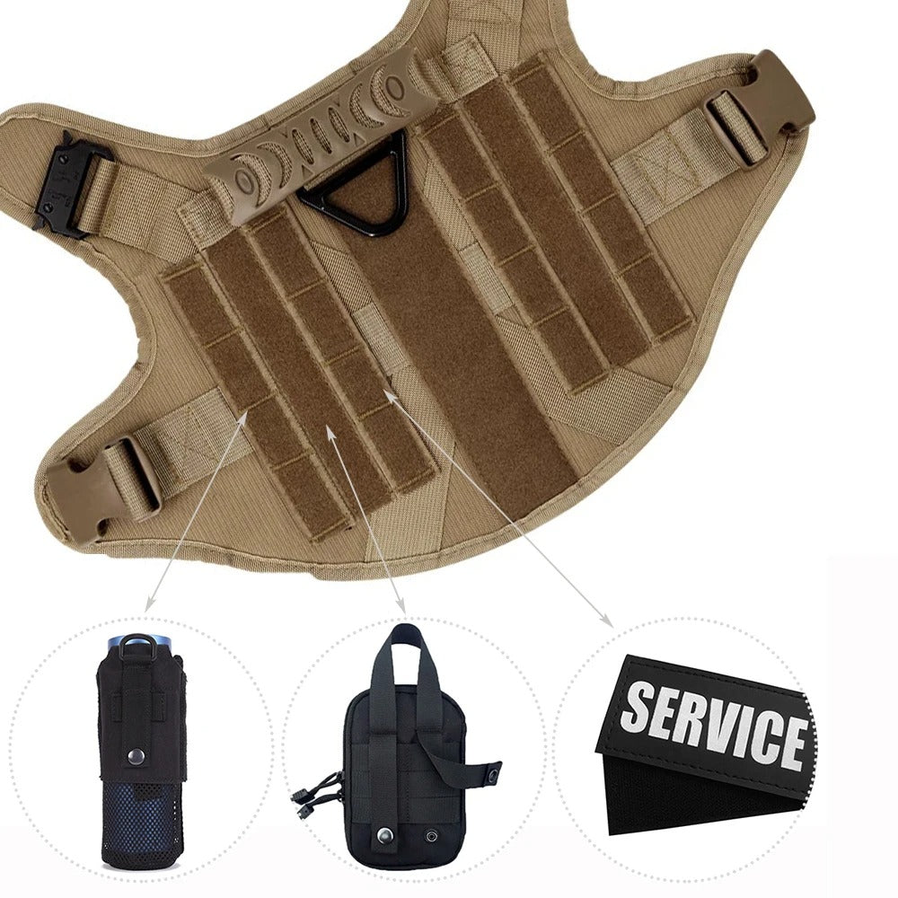 Dog Leash – Comfort and Safety for Training