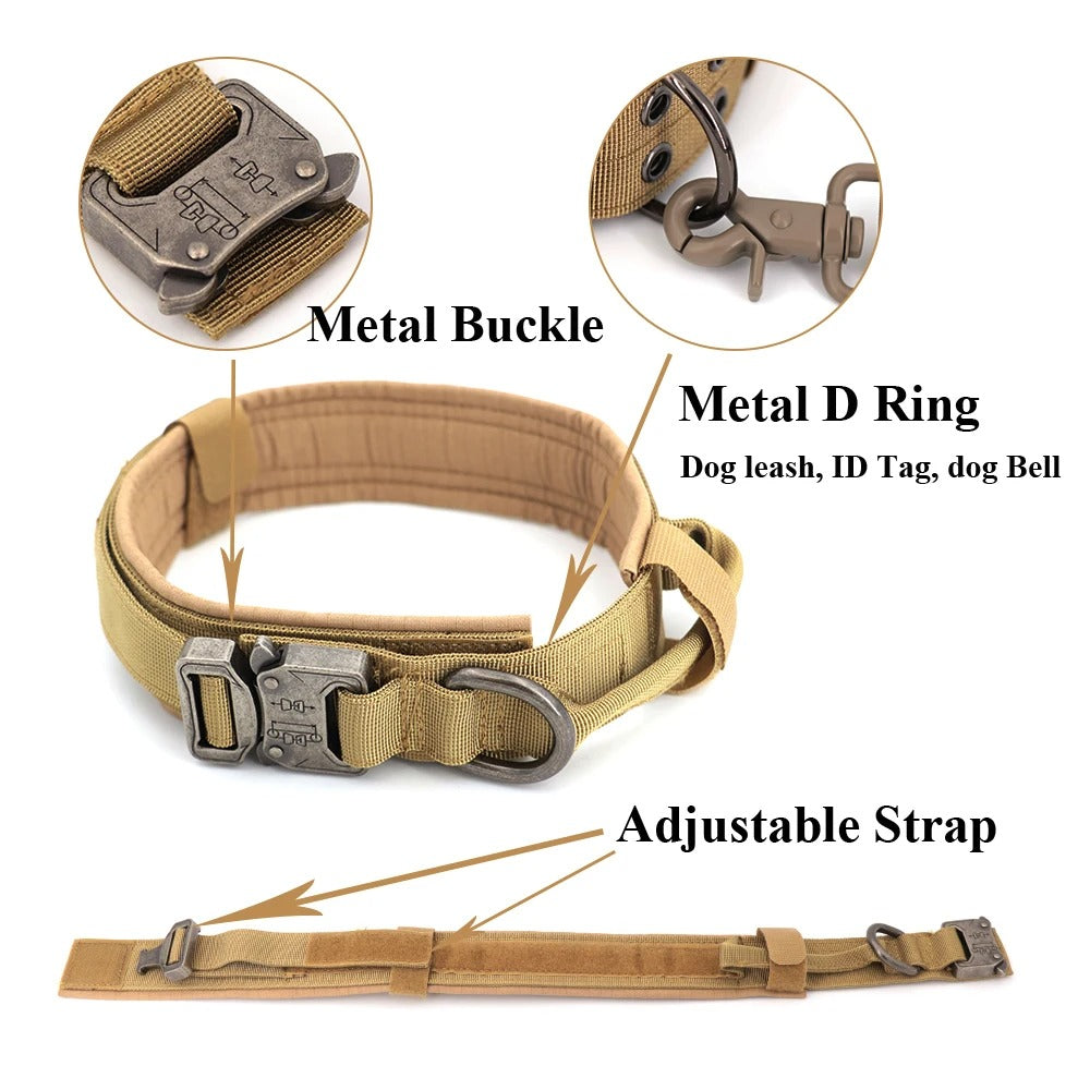 Dog Leash – Comfort and Safety for Training