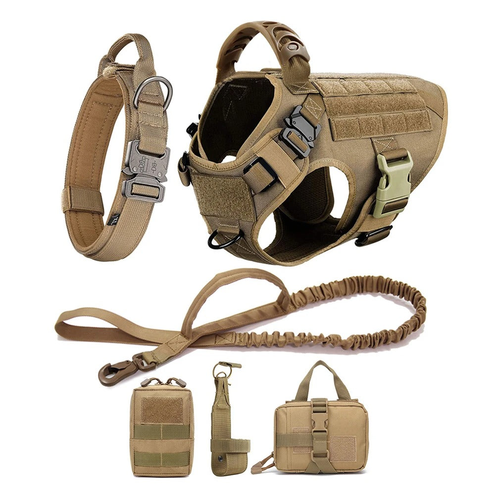 Dog Leash – Comfort and Safety for Training