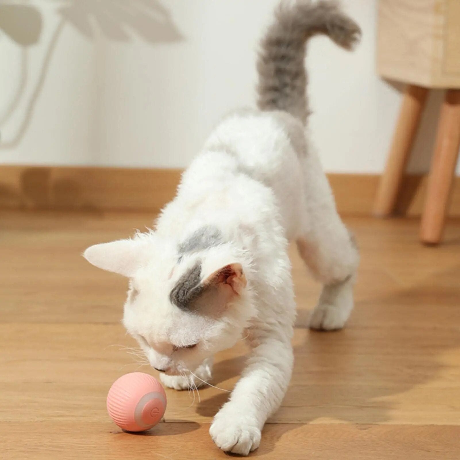 DogCatFri™ HuntingToy - 2 in 1 Simulated Interactive Hunting Toy