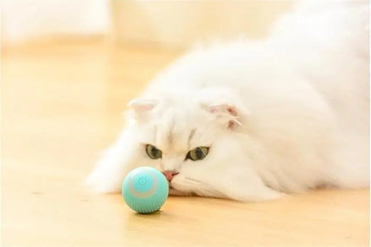 DogCatFri™ HuntingToy - 2 in 1 Simulated Interactive Hunting Toy