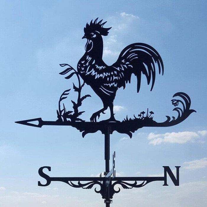 Eccentric Garden Weather Vane | Unique Design & Weather Resistant