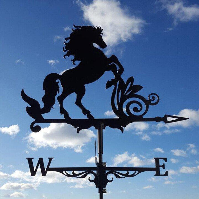 Eccentric Garden Weather Vane | Unique Design & Weather Resistant