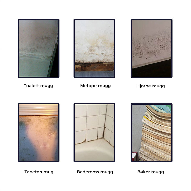 Effective Mold Removal Foam - Removes Mold Stains | Fast Acting