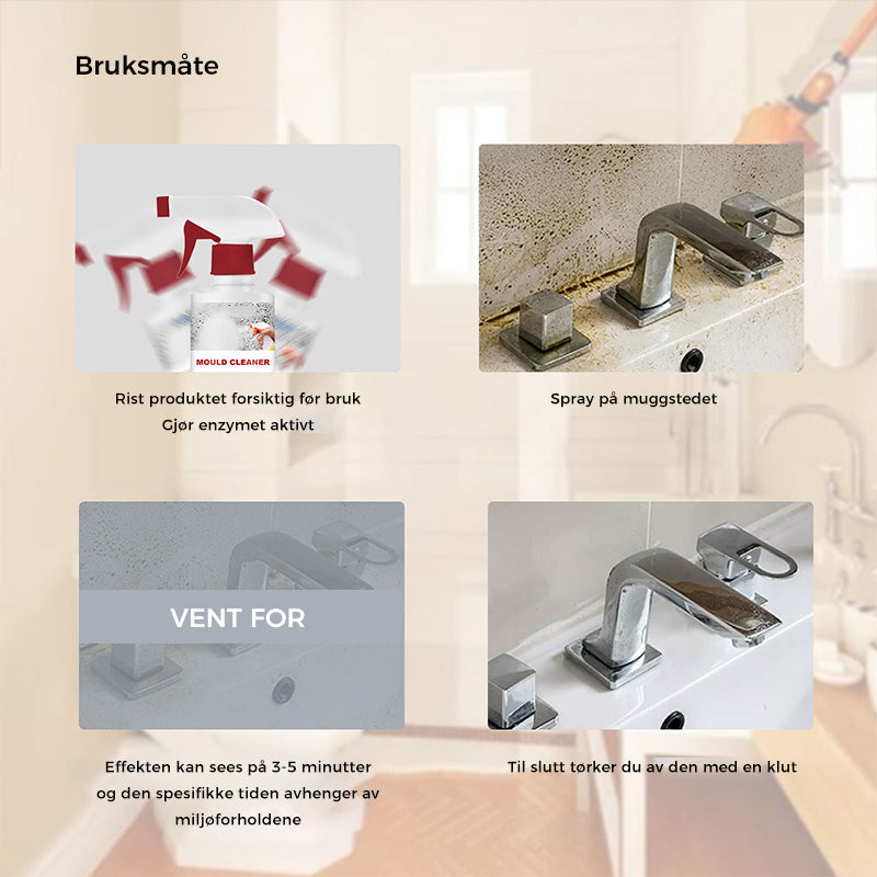 Effective Mold Removal Foam - Removes Mold Stains | Fast Acting