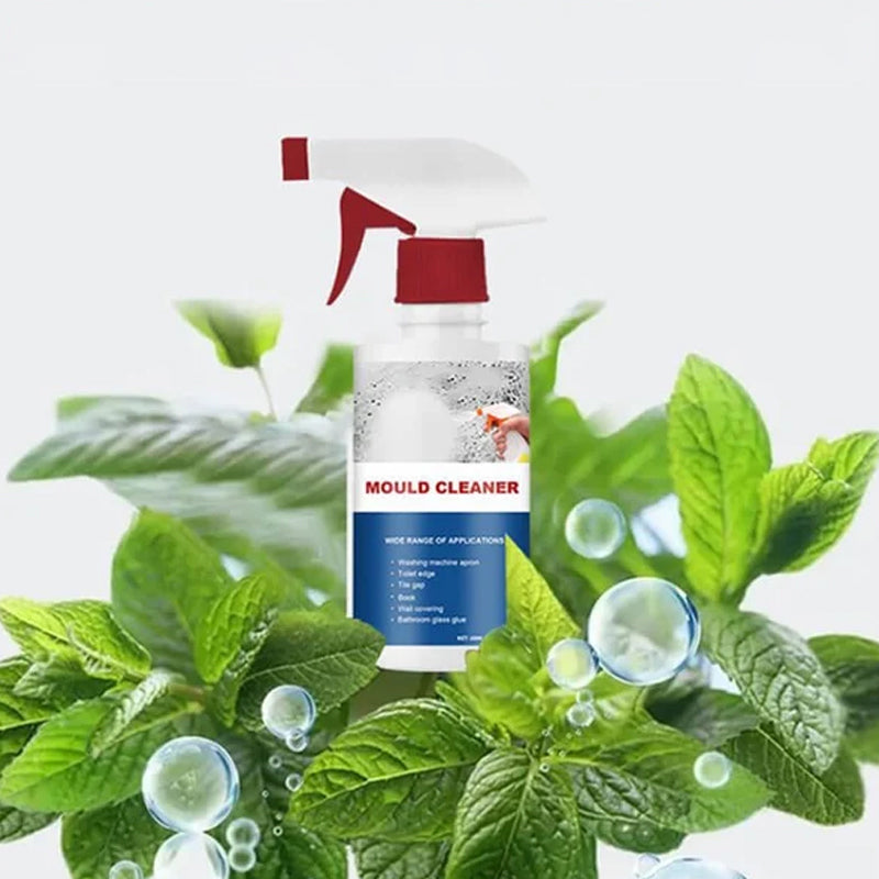 Effective Mold Removal Foam - Removes Mold Stains | Fast Acting