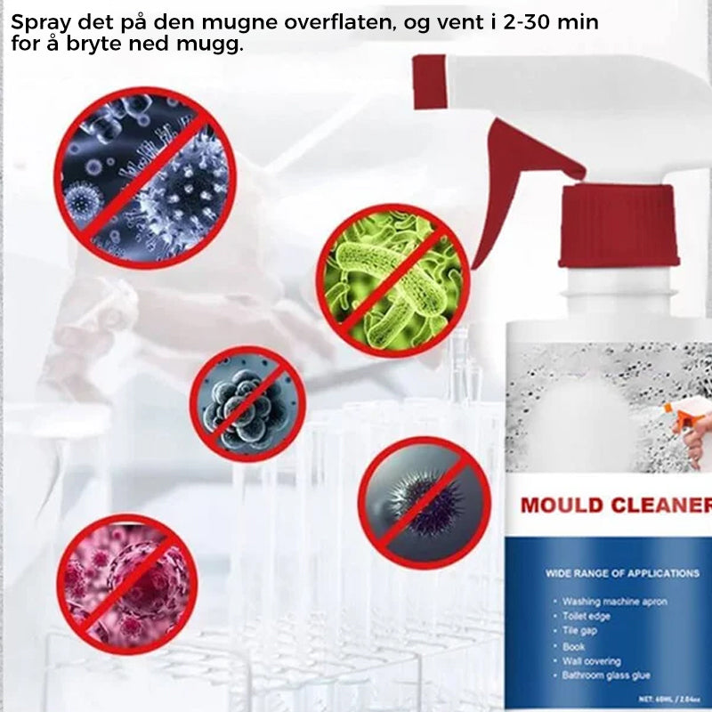 Effective Mold Removal Foam - Removes Mold Stains | Fast Acting