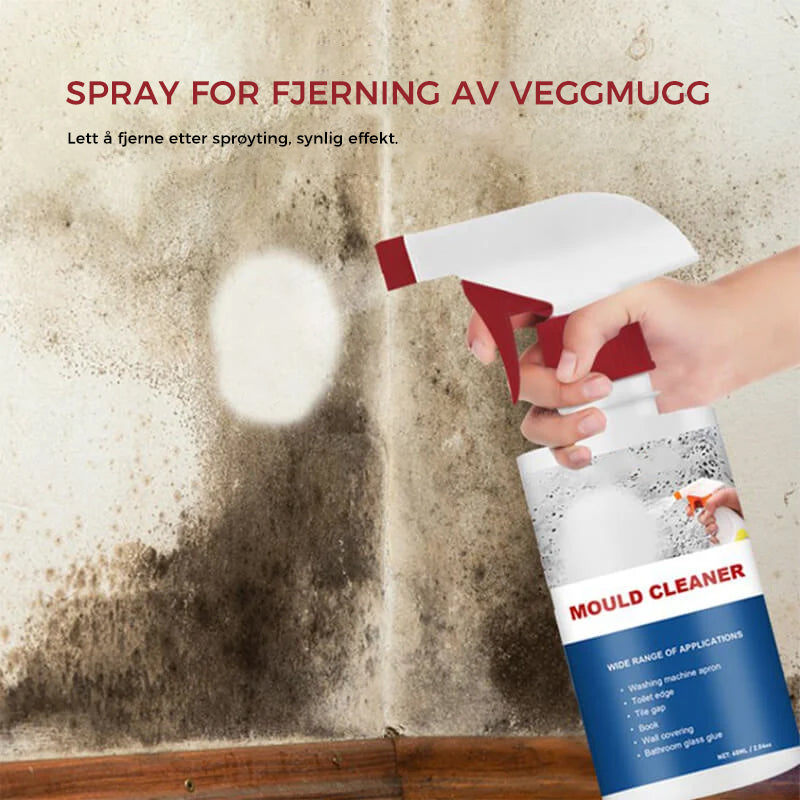 Effective Mold Removal Foam - Removes Mold Stains | Fast Acting