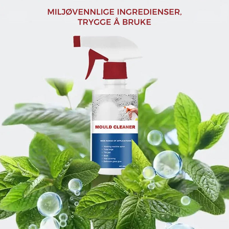 Effective Mold Removal Foam - Removes Mold Stains | Fast Acting