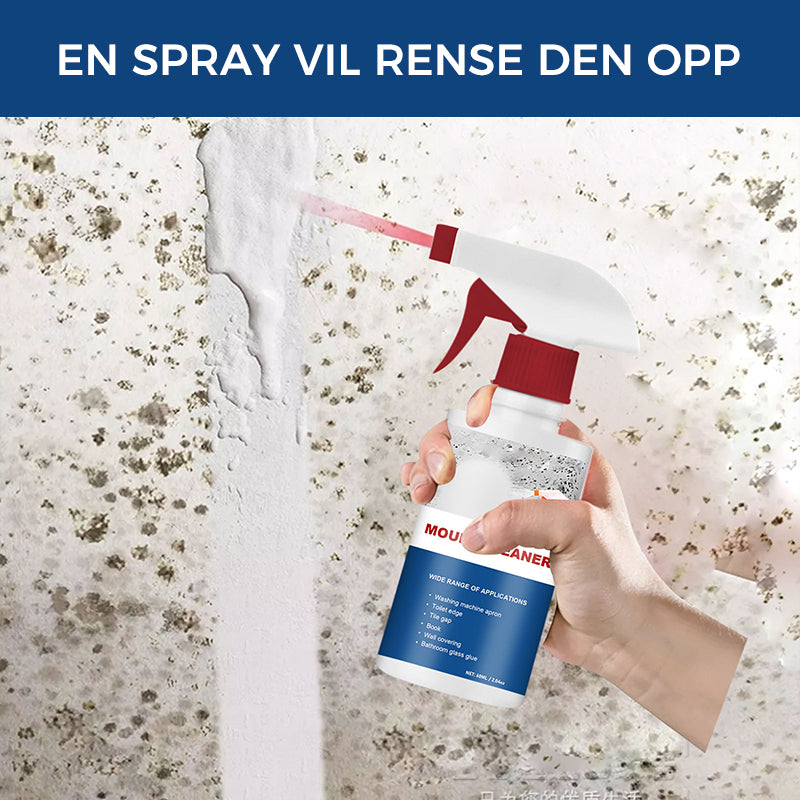 Effective Mold Removal Foam - Removes Mold Stains | Fast Acting