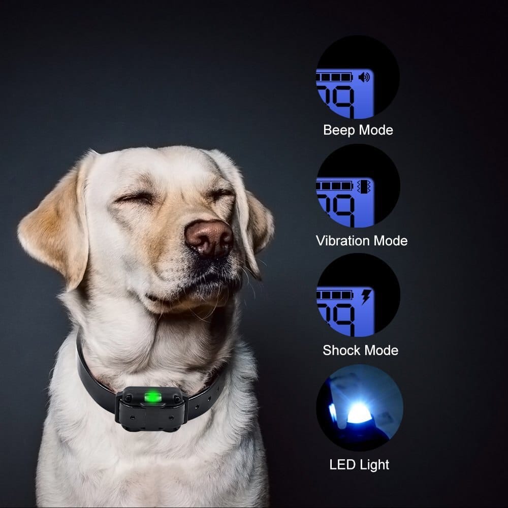 Electric Dog Training Collar with 800m Range