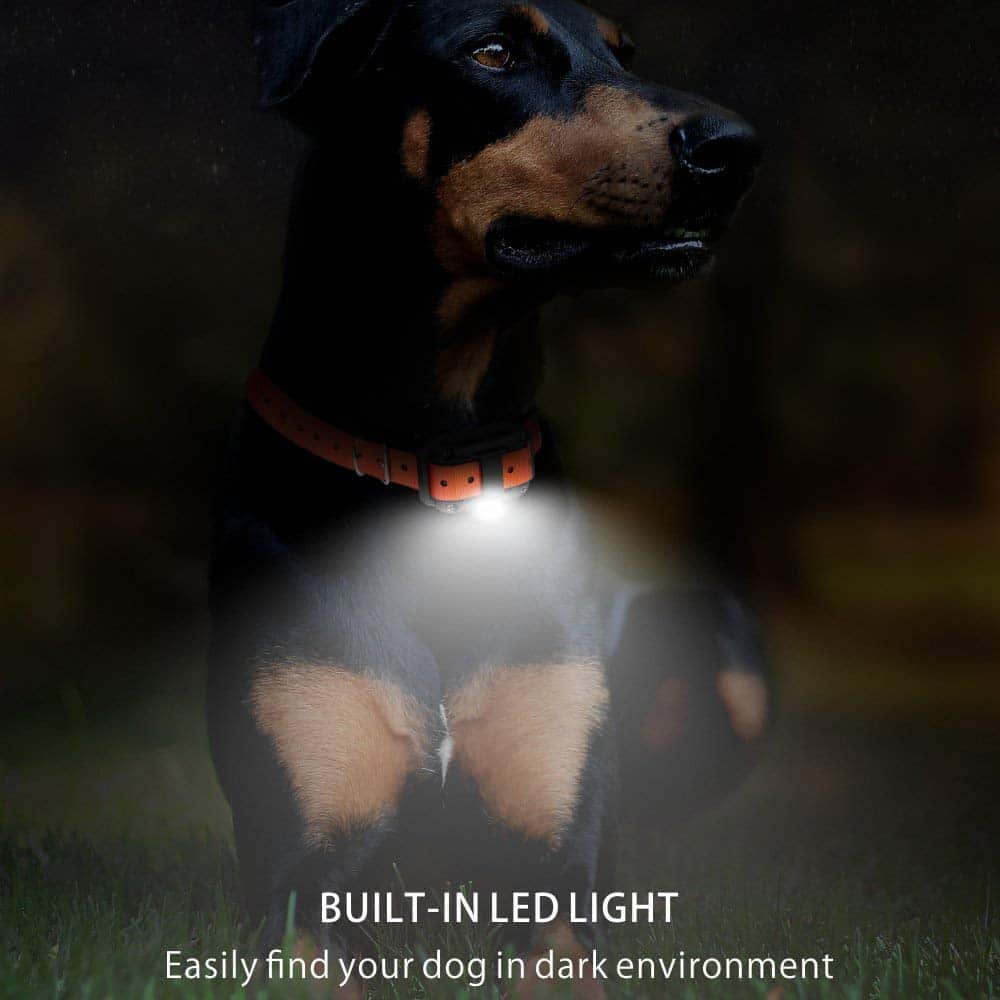Electric Dog Training Collar with 800m Range