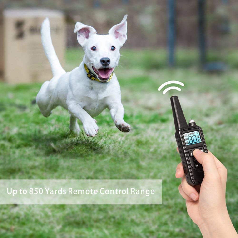 Electric Dog Training Collar with 800m Range