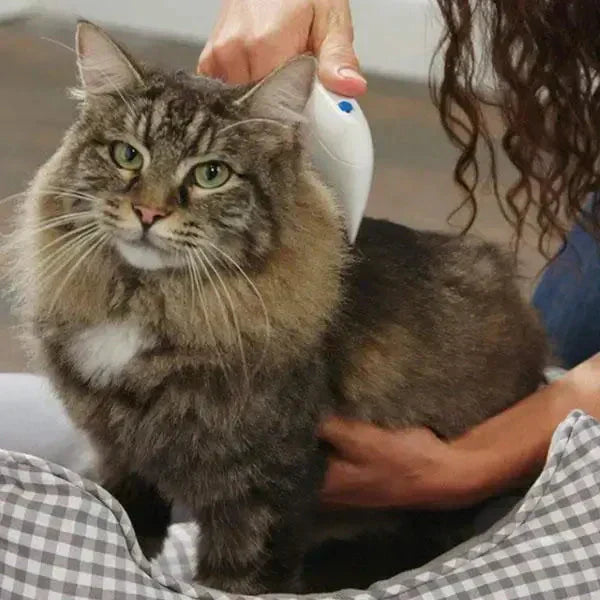 Electric Flea and Tick Remover – Gentle & Chemical-Free