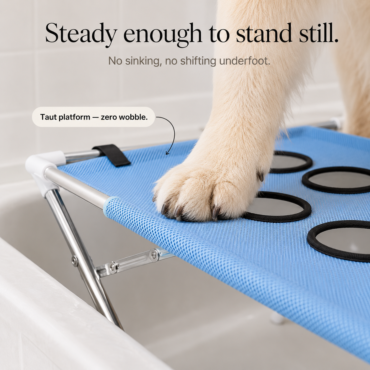 Elevated Non-Slip Pet Bathing Platform
