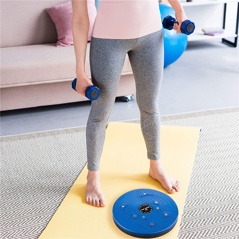 FitPro - Waist Twister