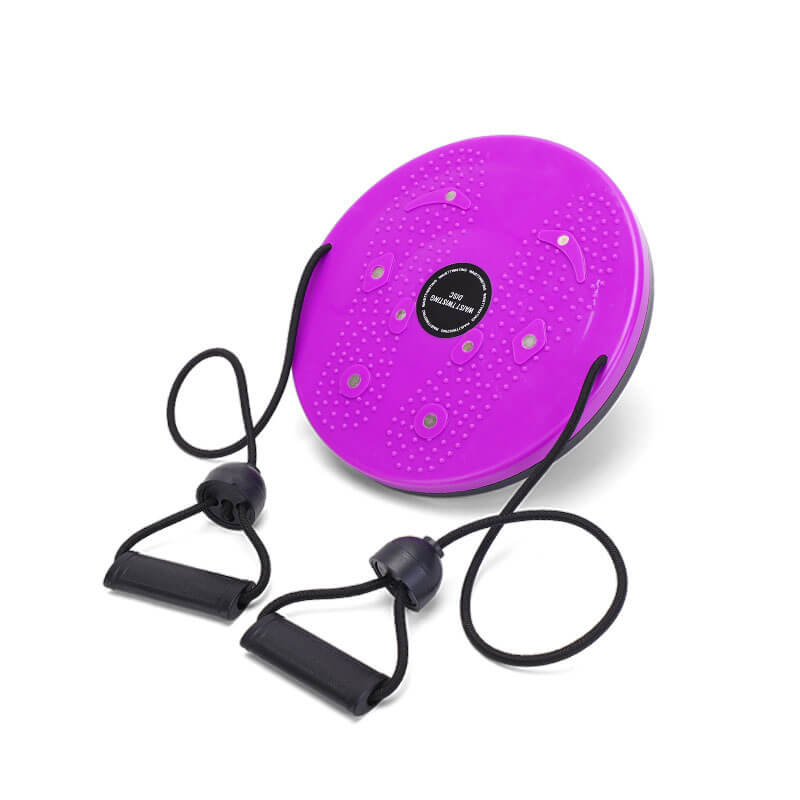 FitPro - Waist Twister