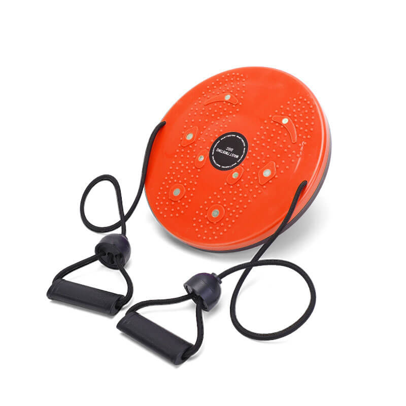 FitPro - Waist Twister