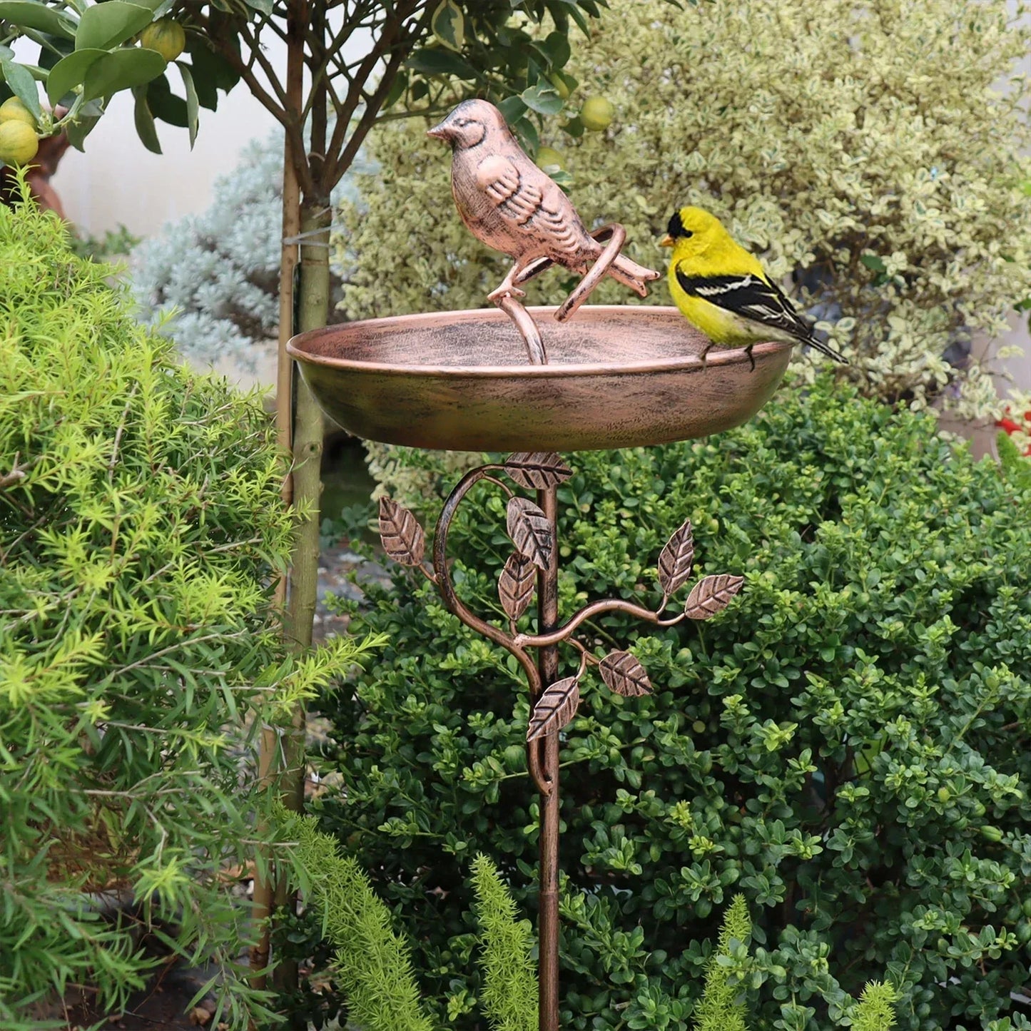 Garden Bird Bath | Decorative Bowl | Sturdy Spike | GardenShine