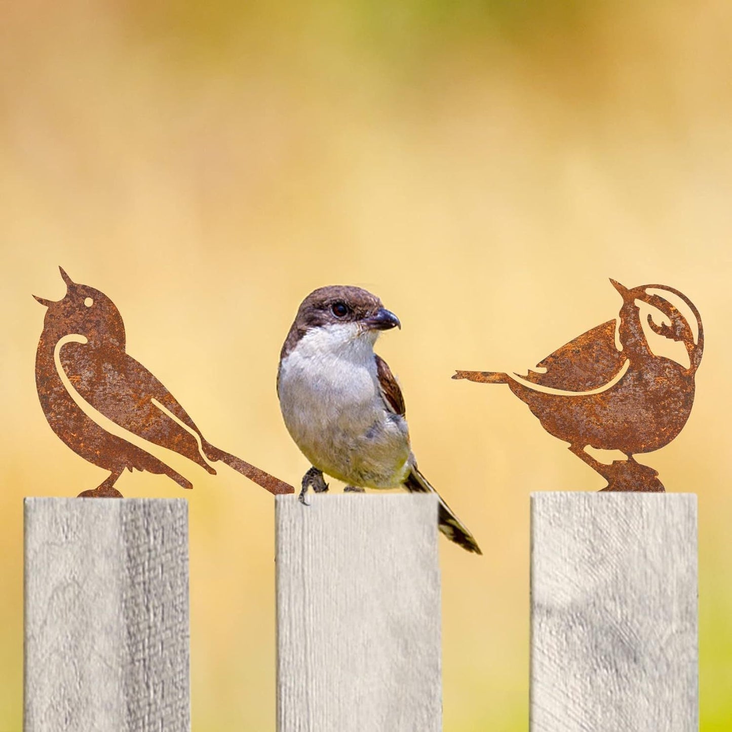 Garden Birds Set | Corten Steel Decor | Weather Resistant Outdoor Sculpture
