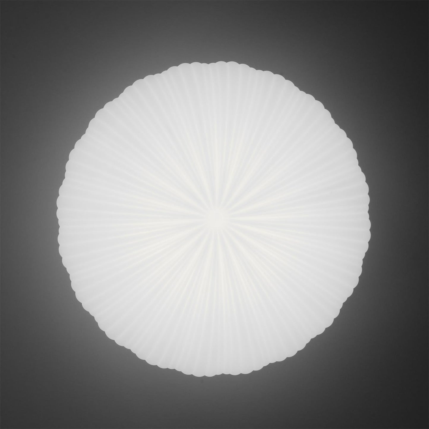 LED Ceiling Lamp Robby – Metal and Acrylic
