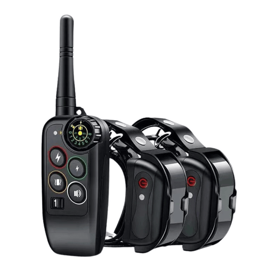 Long Range 1000m Waterproof Dog Training E-Collar & Remote