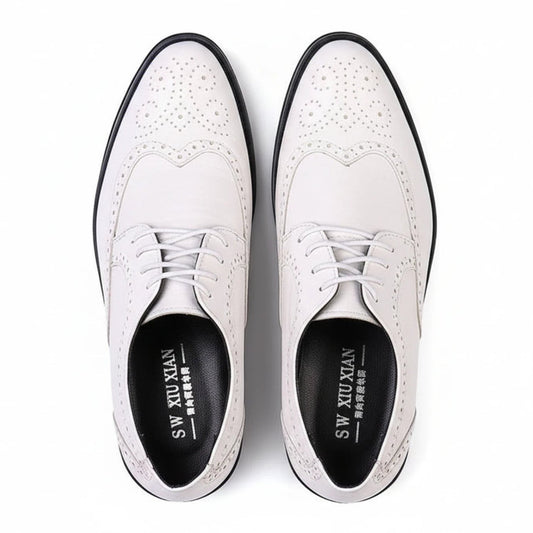 Men's Brogue Oxford Shoes