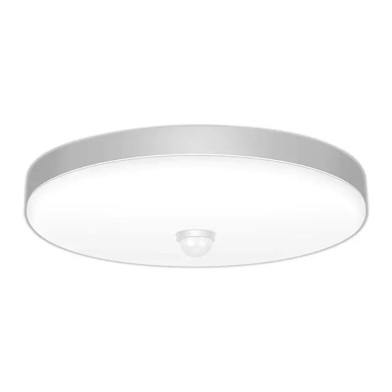 Motion Sensor LED Ceiling Light