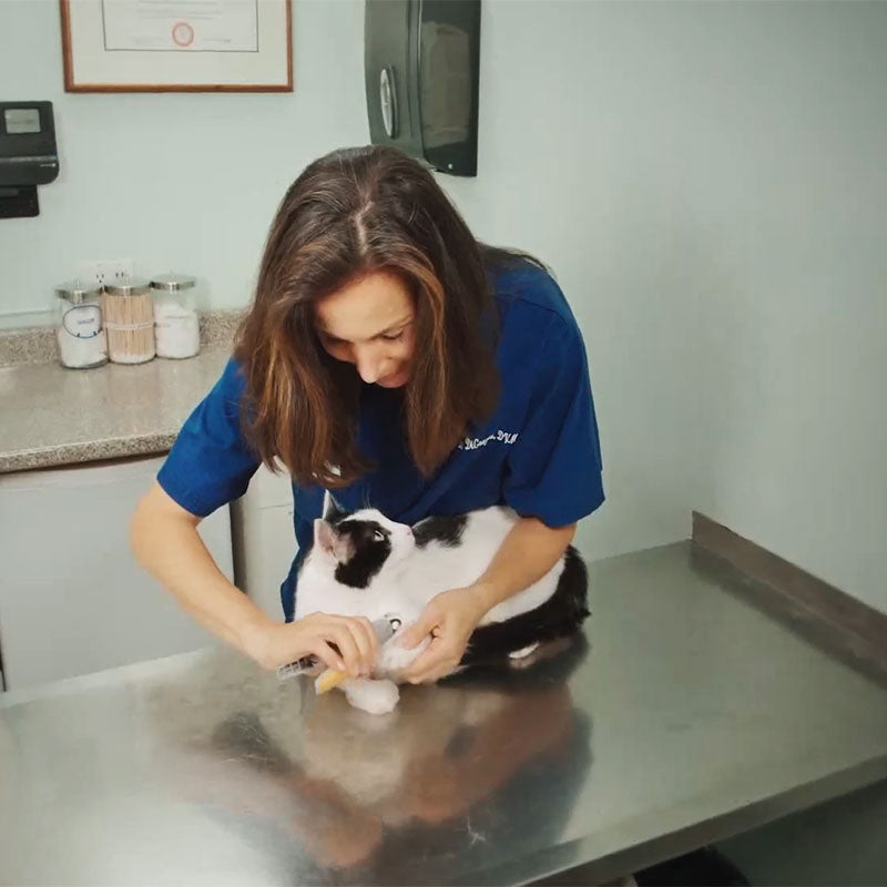Nail Clipper for Dogs & Cats with LED & Sensor